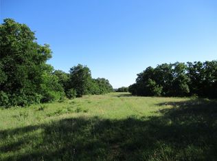 Old Joy Shannon, Bluegrove, TX 76352