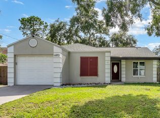 6813 S Gabrielle St, Tampa, FL 33611