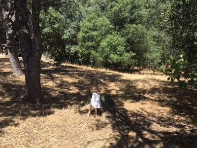 733 Grinding Rock Rd, Angels Camp, CA, 95222