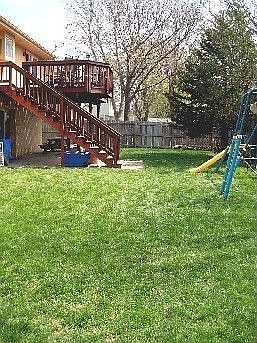Back yard