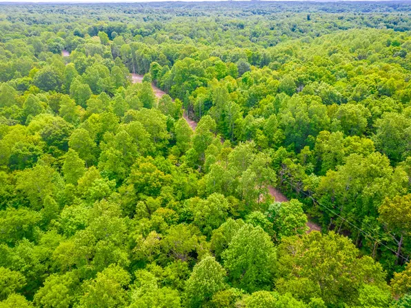 3851 Chestnut Ridge Rd Lot 1, Santa Fe, TN 38482