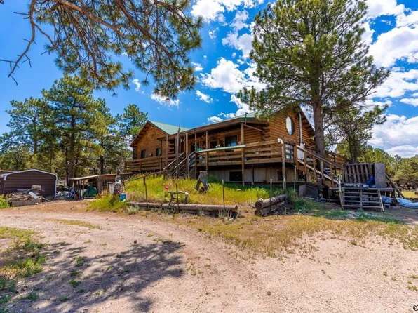 400 Pinon Ln, Texas Creek, CO 81223