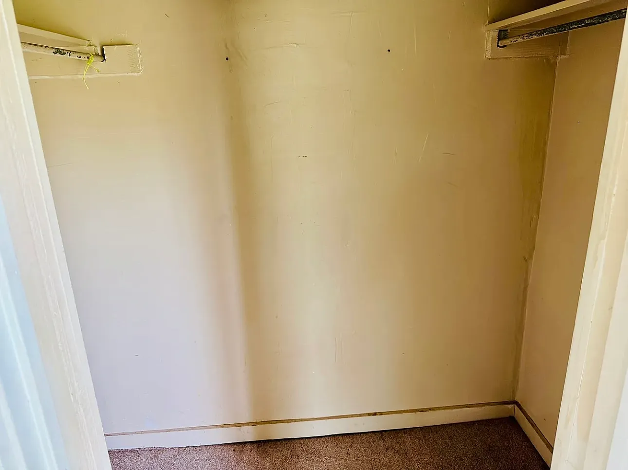 1 bed, $695 — Photo 4