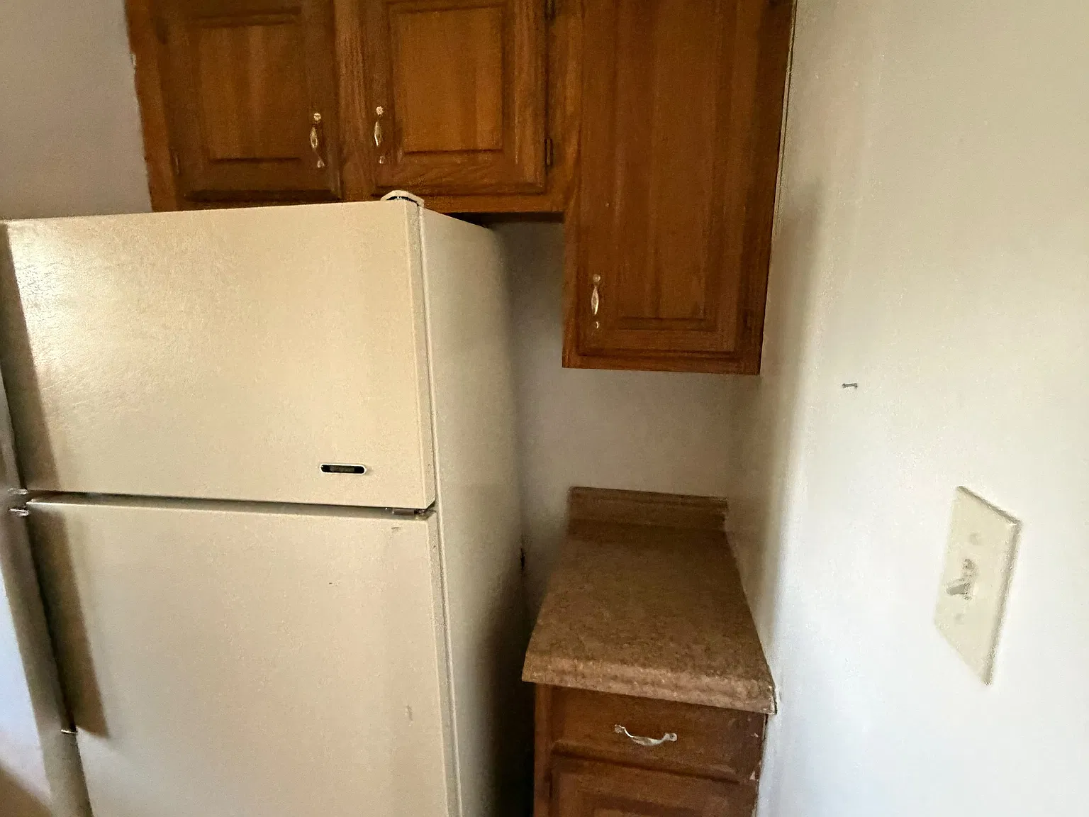 1 bed, $1,100 — Photo 3