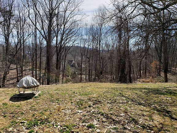 Grassy and secluded back yard.