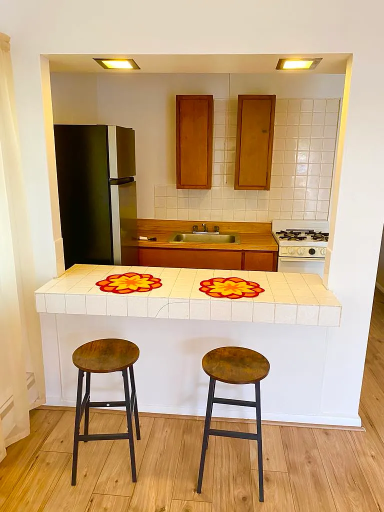 1 bed, 300 sqft, $600 — Photo 1