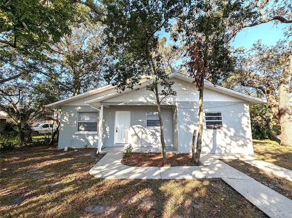 12306 MITCHELL STREET, TAMPA, FL 33612