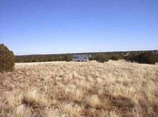 4265 S Pinto Rd, Snowflake, AZ 85937