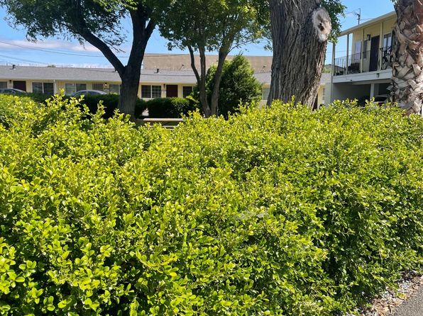 1406 Woolner Ave APT A