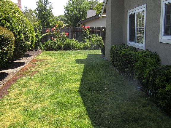 Long side yard with lawn