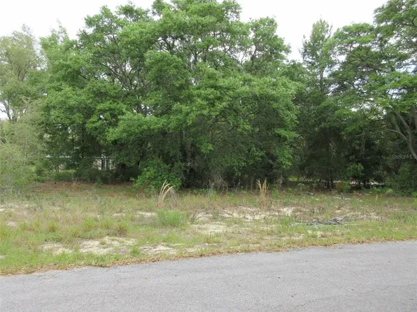 Fisher Way Dr Lot 7, Ocklawaha, FL 32179
