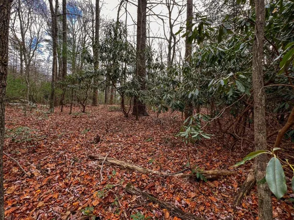 0 Stillhouse Trl, Fancy Gap, VA 24328