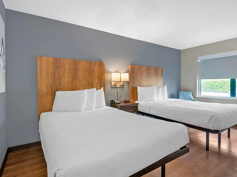 Studio Suite - 2 Full Beds