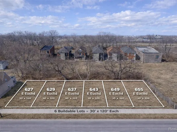 627 E Euclid St, Detroit, MI 48202