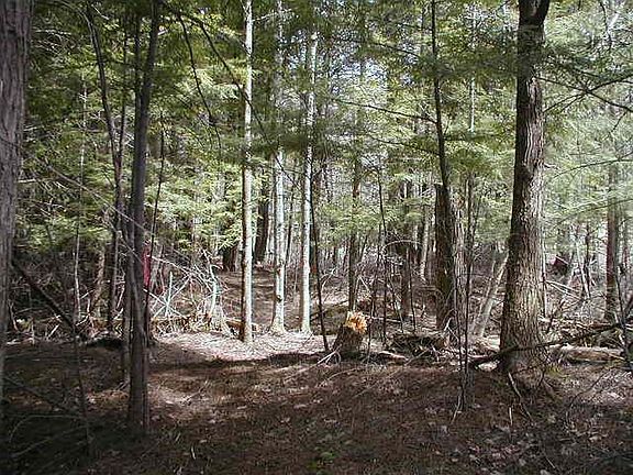 5th image of LOT 44 Tapawingo Dr Lot 44