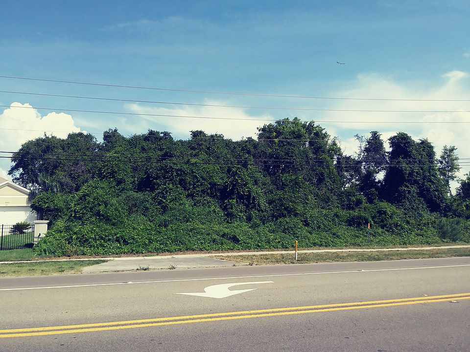 1st image of Alt 19 Palm Hbr