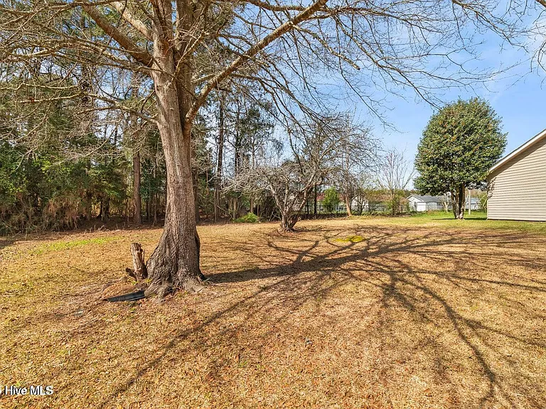 1019 Blue Leaf Pl — Photo 43