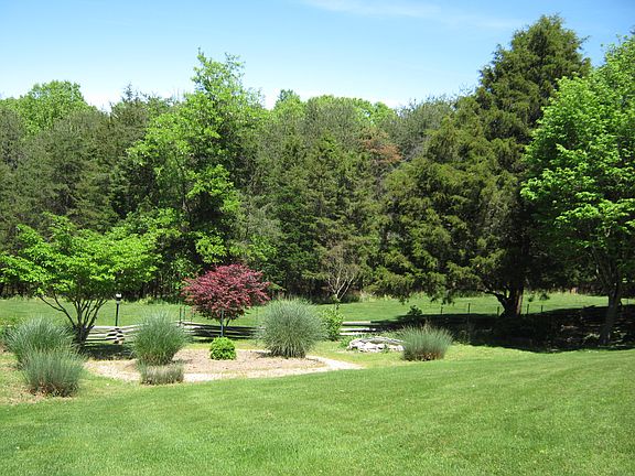 Backyard Landscape