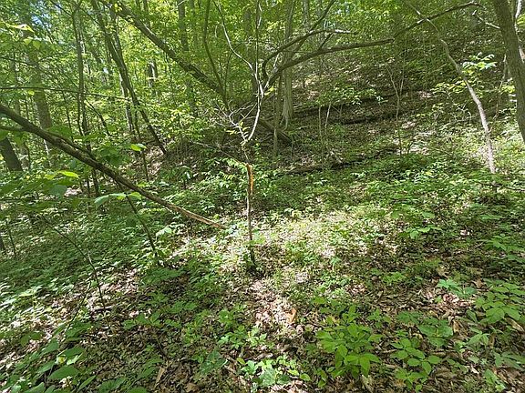 4th image of 4045 Suttons Rd