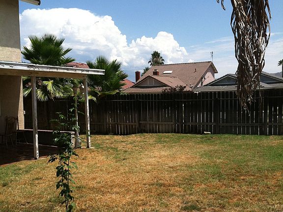 Back yard
