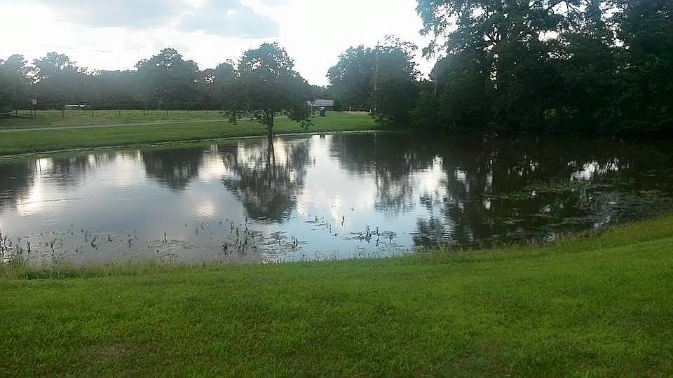 2nd image of 153 Linder Rd