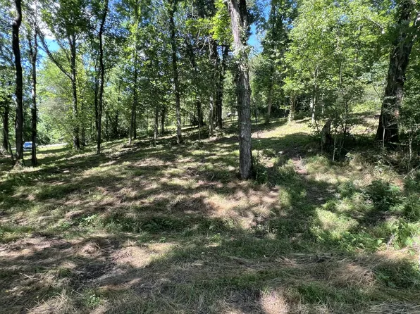 0 Horseshoe Bend Ln Lot 2, Elmwood, TN 38560