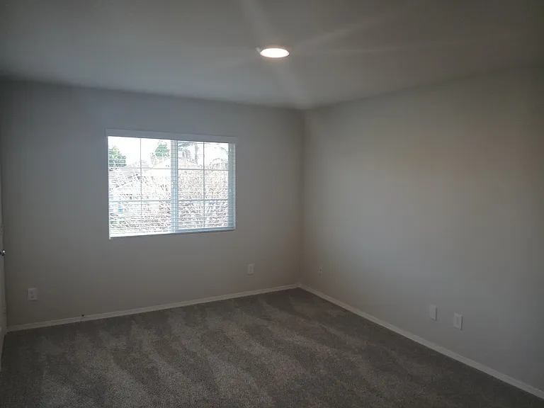 9394 Live Oak Dr — Photo 23