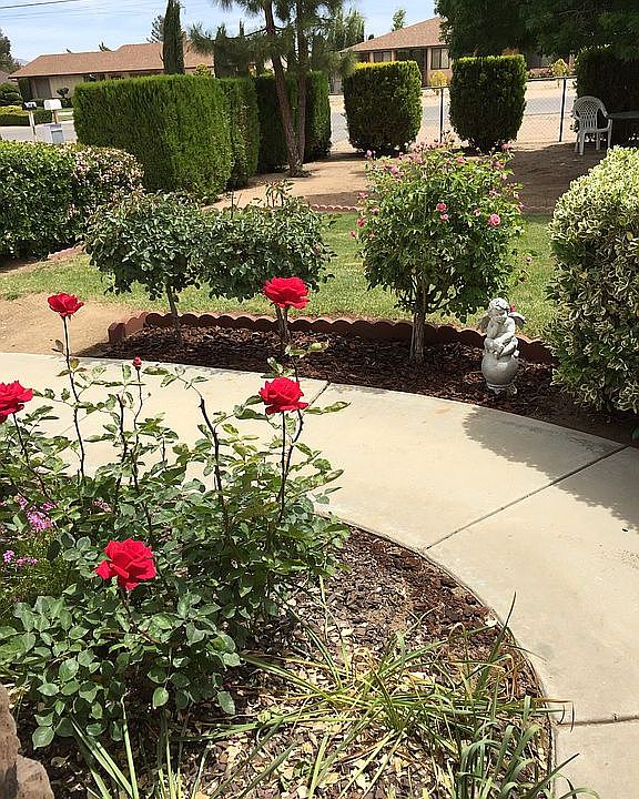 Part of front yard