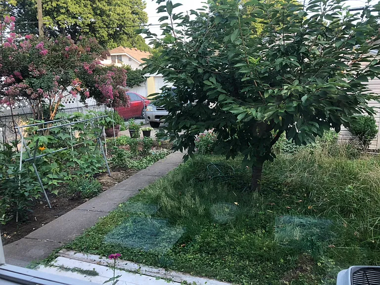 Stevens Ave — Photo 6