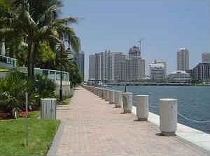 Waterfront 