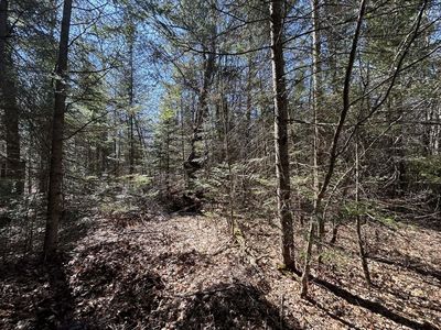 S Gerber Rd, Mio, MI, 48647