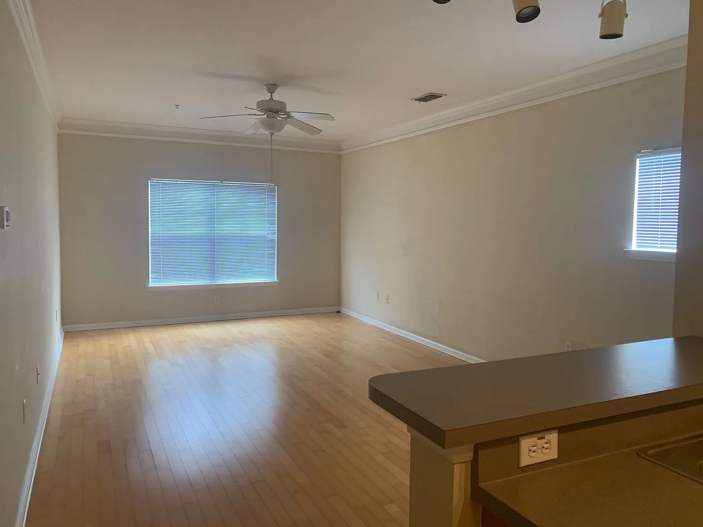 1 bed, 867 sqft, $1,500 — Photo 4