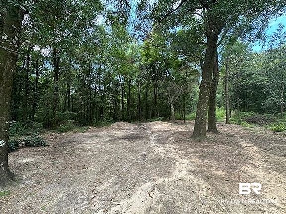 4th image of 5711 Greenbriar Ct