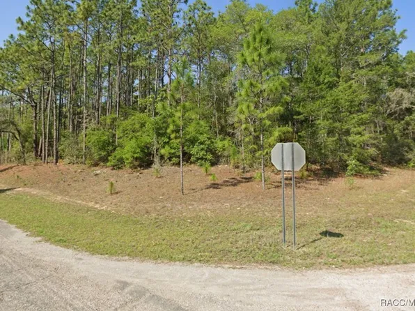 9330 N Lily Dr, Citrus Springs, FL 34434