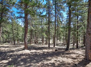 860 Spring Valley Dr, Divide, CO 80814