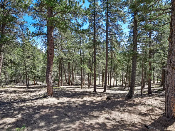 860 Spring Valley Dr, Divide, CO 80814