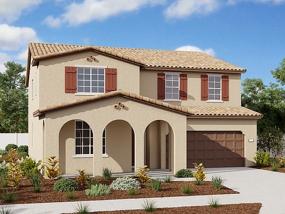 The Ammolite Elevation B