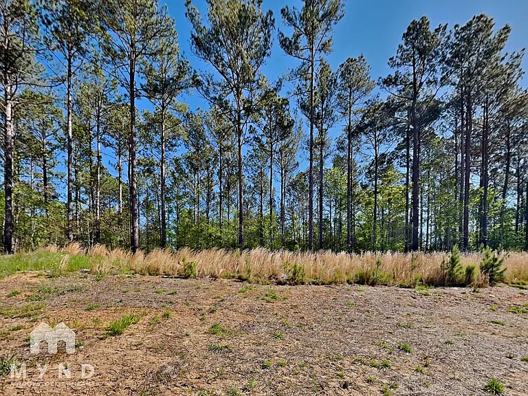 180 Ivy Bank Dr — Photo 23
