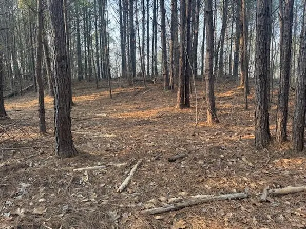 Stella Lockard Rd, Cordova, AL 35550