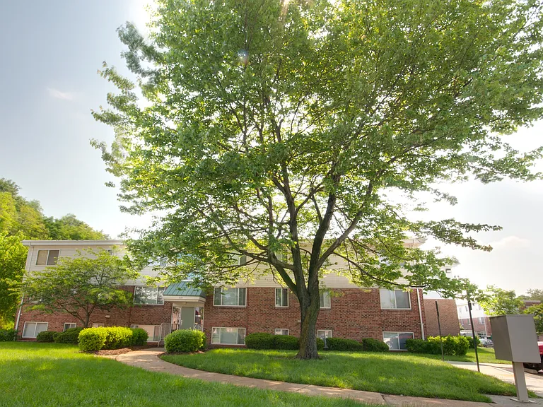 Cherrydale Apartments — Photo 14
