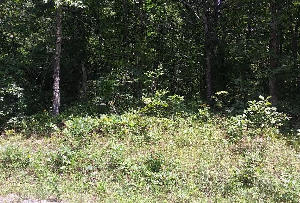 1st image of 36 Broken Arrow Dr