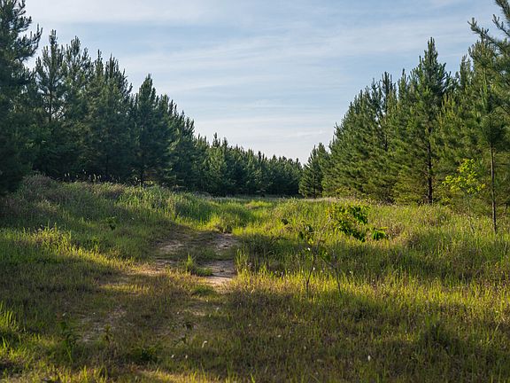 3rd image of 0 Flowers Rd