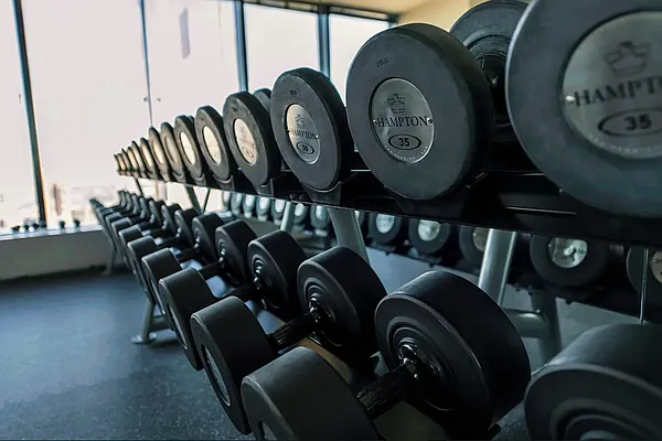 Rented by Vector New York, LLC | media 21