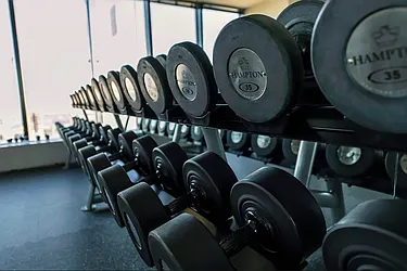 Rented by Vector New York, LLC