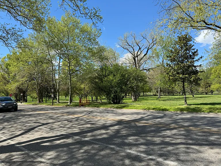 View of Tower Grove Park - Photo taken 4-12-24.