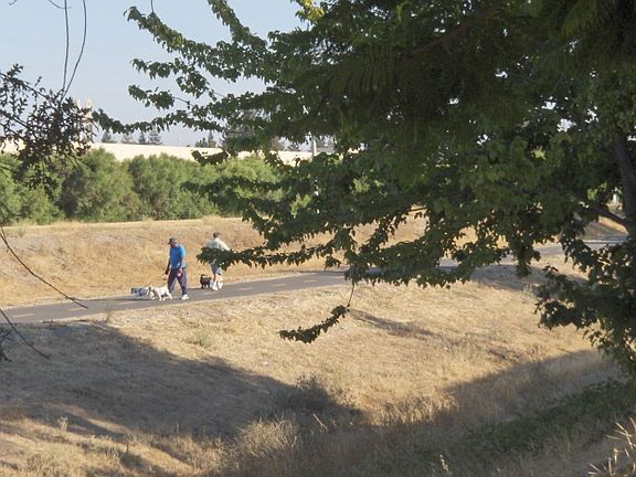 Joging and Dog walking Trail