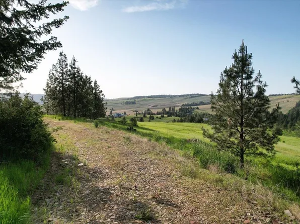 10624 S Mica Vista Ln, Mica, WA 99023