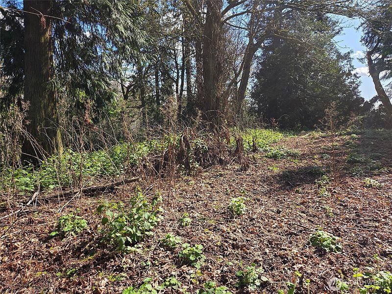 5th image of 12 W Gedney Way