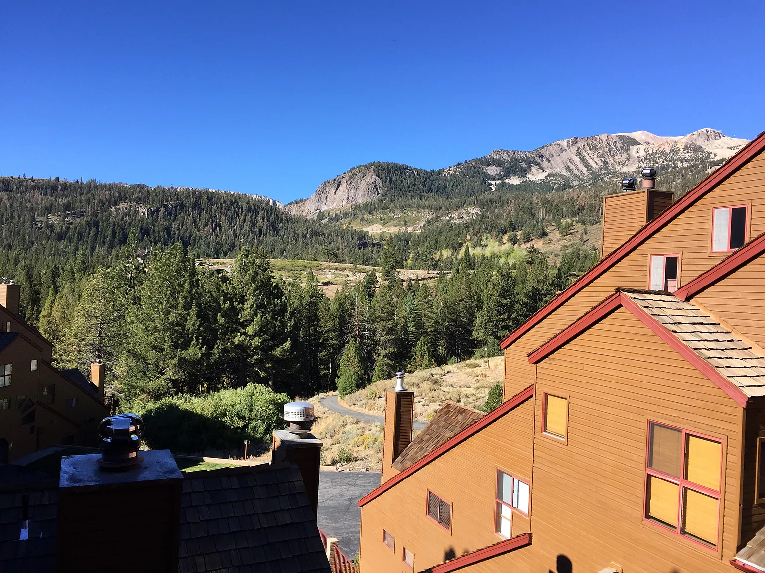 1 bed, 878 sqft, $5,000 — Photo 3