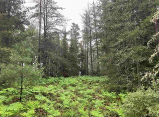 3505 Deer Lake Rd, Ishpeming, MI 49849